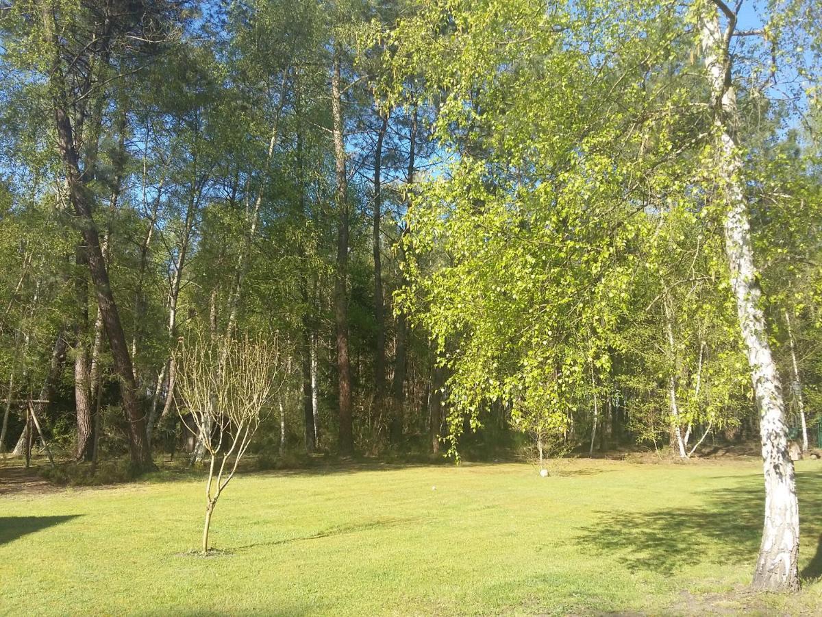 B&B La Foret De Charmeuse Ruaudin Bagian luar foto